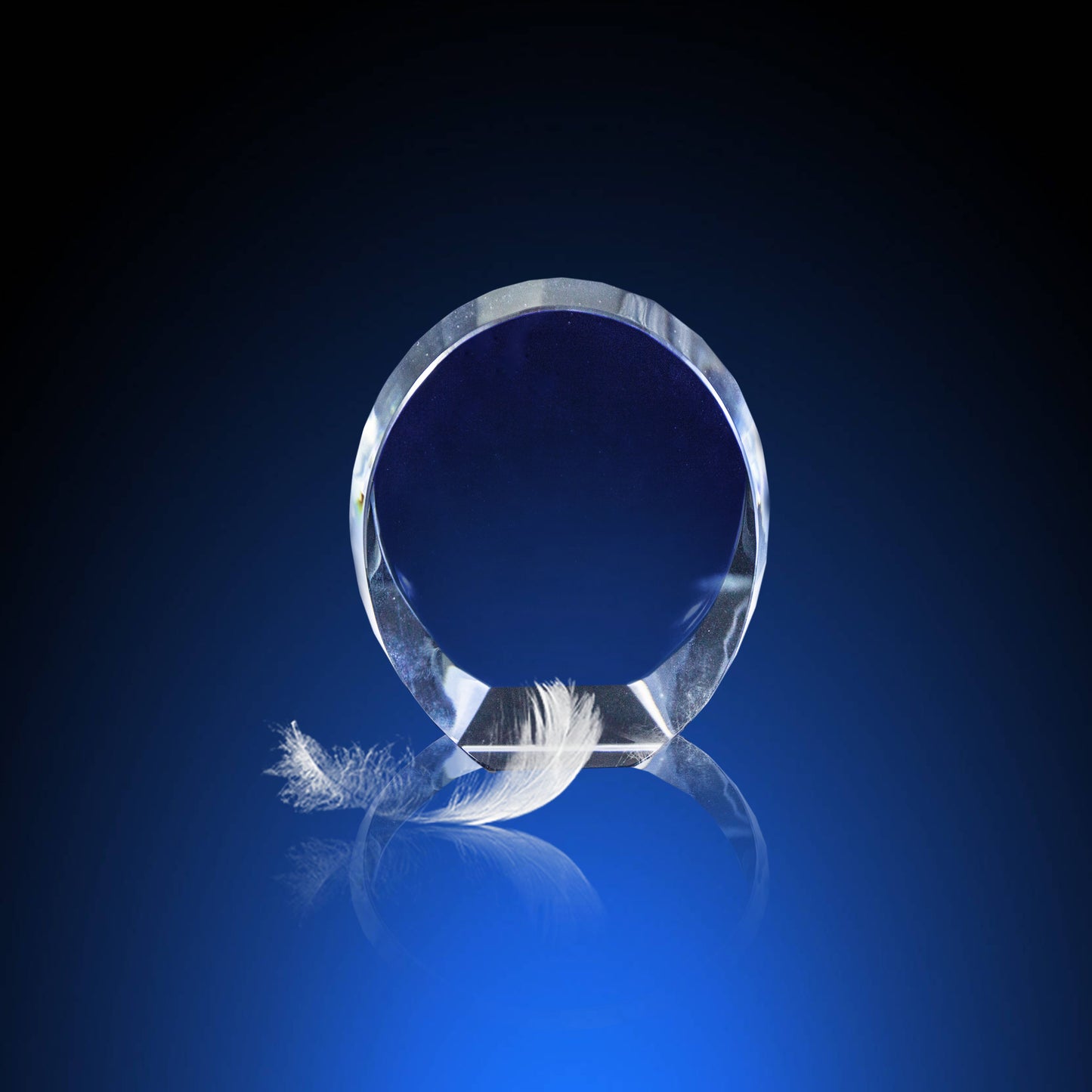 SH119-1 Oval 2D Crystal (80x60x25mm)